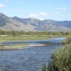 125 Acres on the Snake River